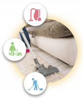 Back 2 New Carpet Cleaning Brisbane