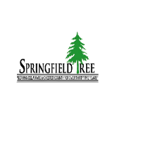 Tree Removal Chadds Ford