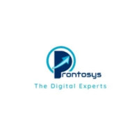Prontosys IT Services- Best Digital Marketing Agency in UAE