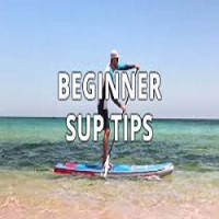 best pickleball paddle for beginners Pro paddle
