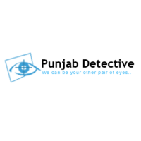 Detective in Jalandhar