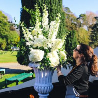 Frog Prince Wedding & Events