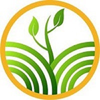 Rv Tree Care