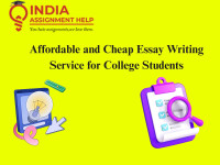 Affordable and Cheap Essay Writing Service for College Students