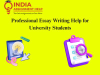 Professional Essay Writing Help for University Students