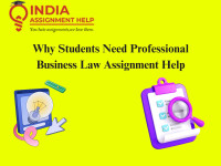 Why Students Need Professional Business Law Assignment Help