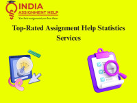Top-Rated Assignment Help Statistics Services