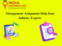 Management Assignment Help from Industry Experts