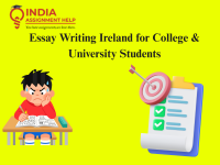 Essay Writing Ireland for College & University Students