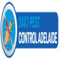 Rodent Control Adelaide