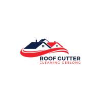 Professional Roof Gutter Cleaning Geelong Expert