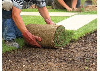 RotoTillerGuy ; Landscape Contractor | Sod | Sprinkler Installation & Repair