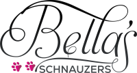 Bella's Schnauzers