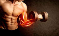 Best Legal Steroids Stack for Athletic Performance & Recovery