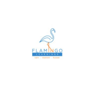 Flamingo Learnings