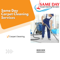 Carpet Cleaning Plympton