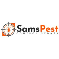 Borer Control In Sydney