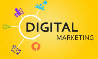Enhance Your Business Digitally with the Top Digital Marketing Company In Jalandhar