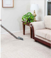 Arlington Carpet Cleaners