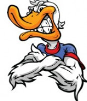 Pato Bravo