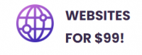$99 startup website