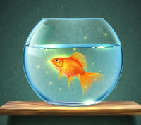 Aquariumfishes