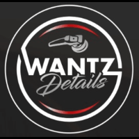 Best car interior detailing service