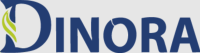 DINORA: Kitchen Sink Manufacturer & Supplier in India
