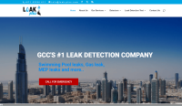 Leak Plus