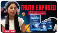 The Memory Wave Audio Program to Enhance Memory Function