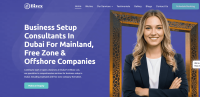 Business Setup Consultants in Dubai