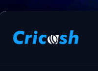 Cricash24: A Smart Interactive Hub for Sports Insights and Digital Entertainment