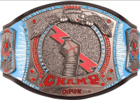 CM Punk 434 Days WWE Championship Replica Title Belt