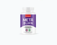 MetaBurn official website