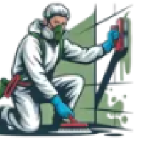 moldremovalcleaner
