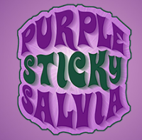 Buy Salvia Wholesale