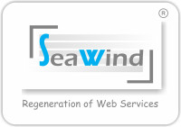 Best Next-Gen IT Services | Seawind Solution FZ-LLC