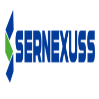 Sernexuss Immigration Consultants in Delhi