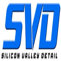 Silicon Valley Detail