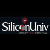Siliconuniv | CCNA Course in Noida