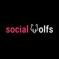 Social Wolfs - Best Digital Marketing Agency in Lucknow