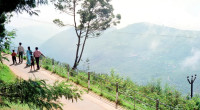 South Tourism