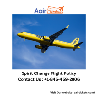 Spirit Change Flight Policy