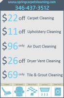 Spring Steam Carpet & Care