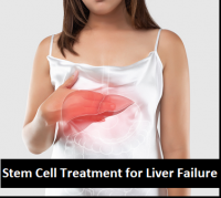 Stem Cell Treatment for Liver failure India