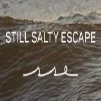 Still Salty Escape
