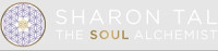THE SOUL ALCHEMIST