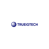 TRUEiGTECH - iGaming & Sweepstakes Software Development Company
