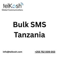 WhatsApp Business API in Tanzania for Customer Messaging