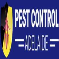 Cockroach Control Adelaide